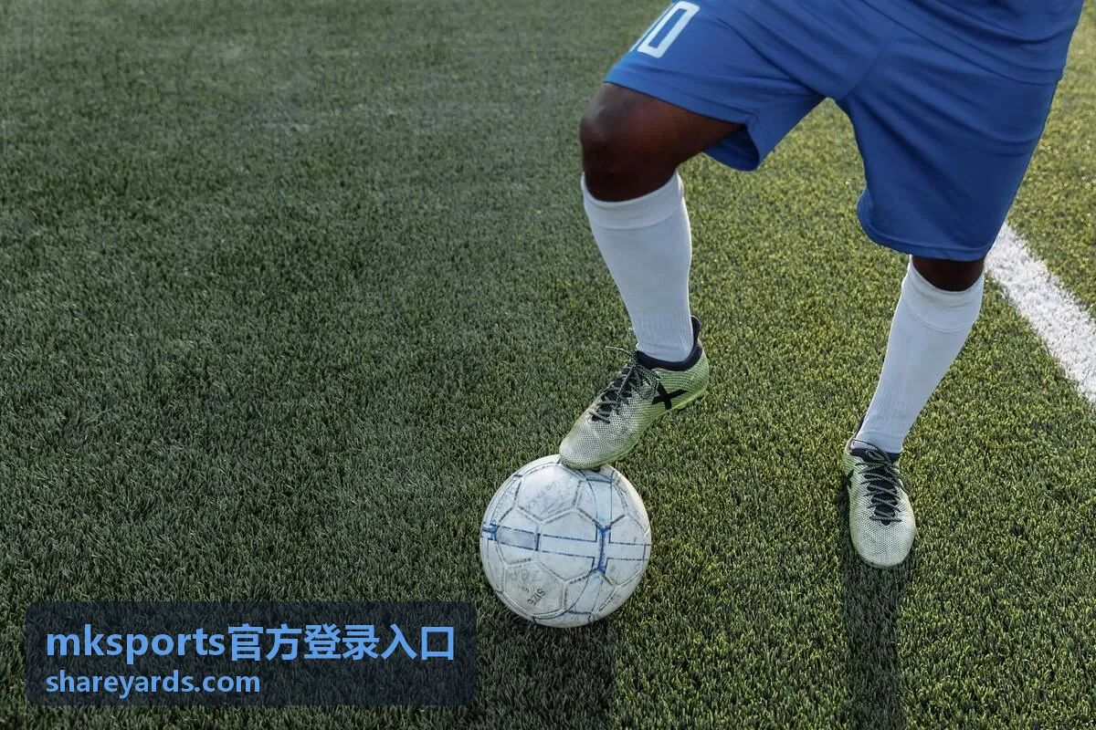 深色背景纹理图，用于 mksports官方登录入口账号安全页面区块