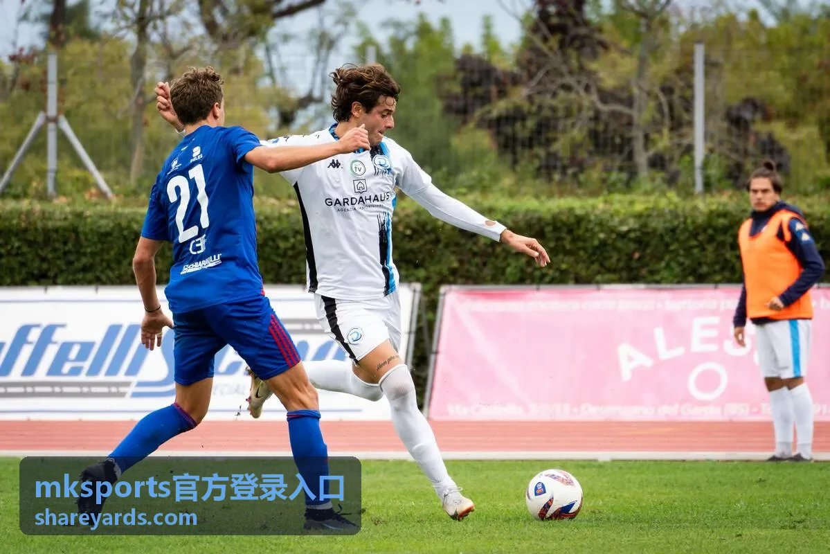 账号安全自查场景图，用于 mksports官方登录入口的登录防护说明