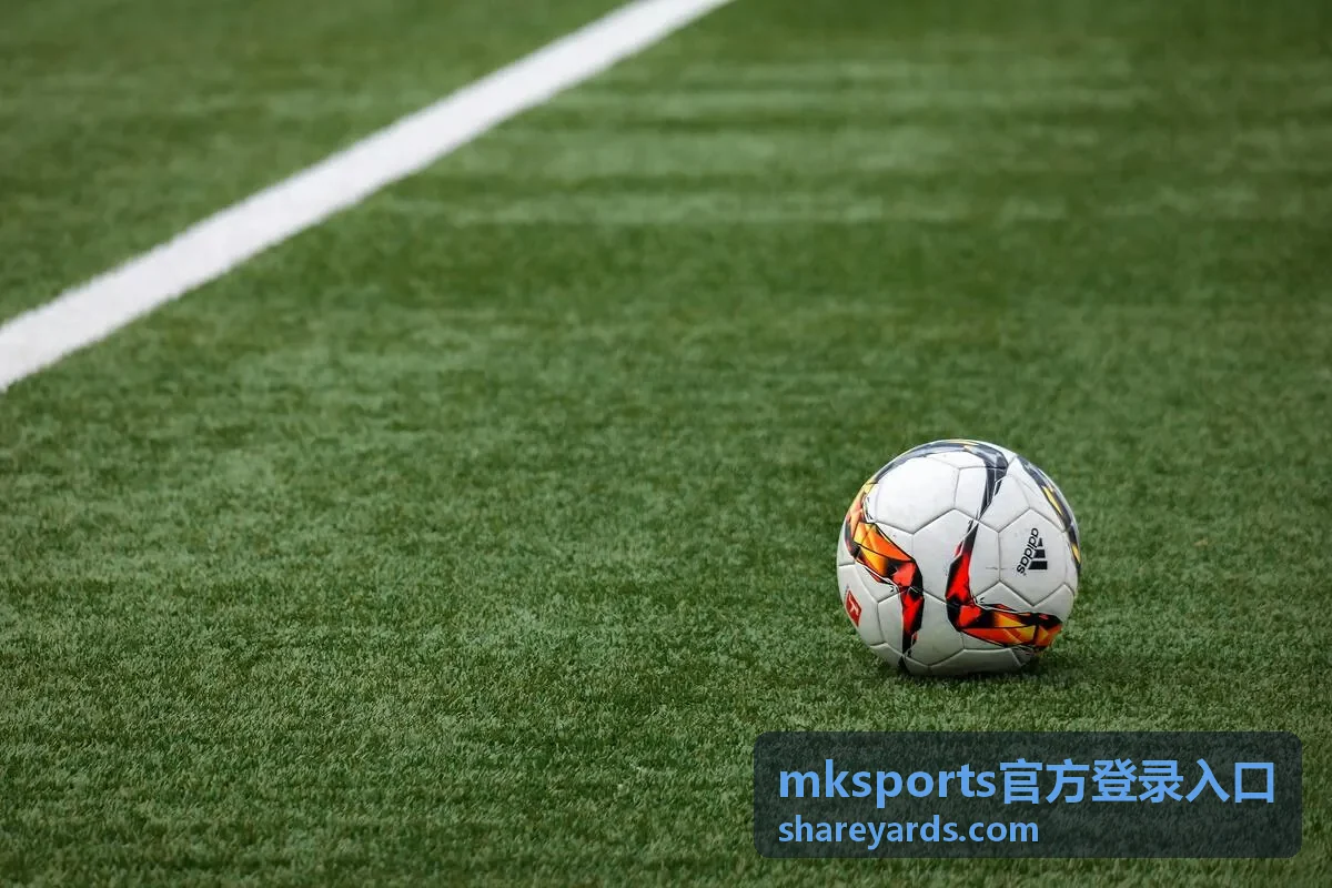 mksports官方登录入口账号安全设置配图