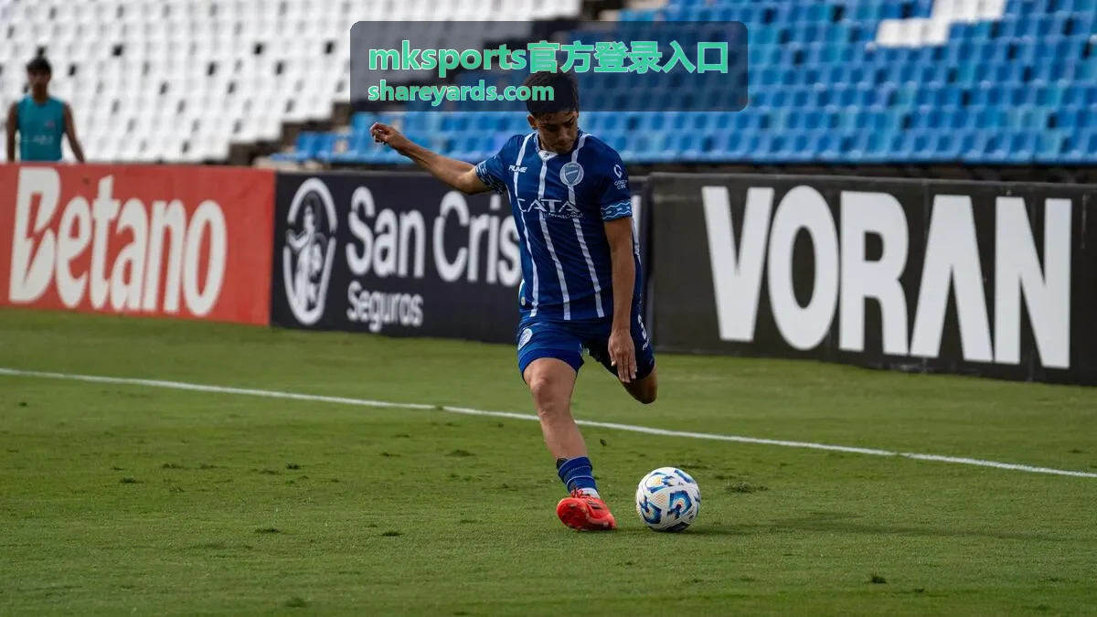 mksports官方登录入口登录前自检流程示意