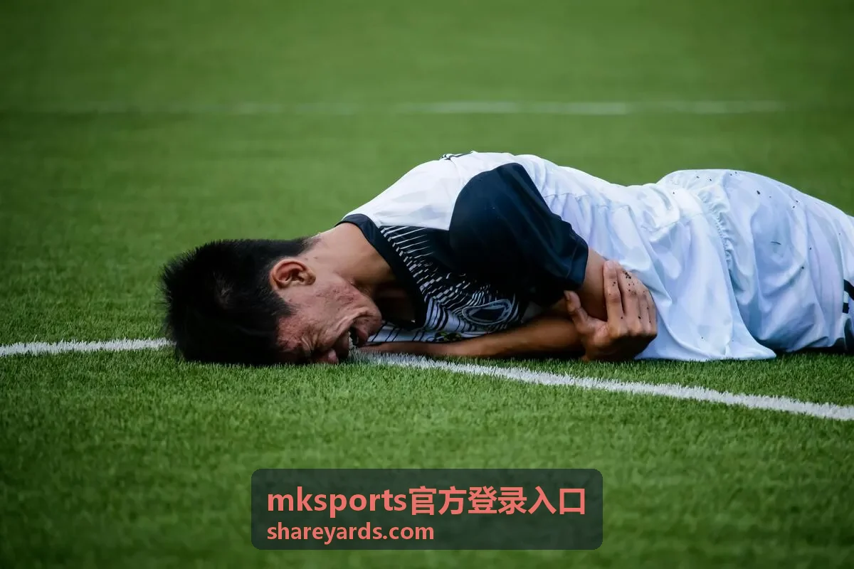 mksports官方登录入口最新信息封面