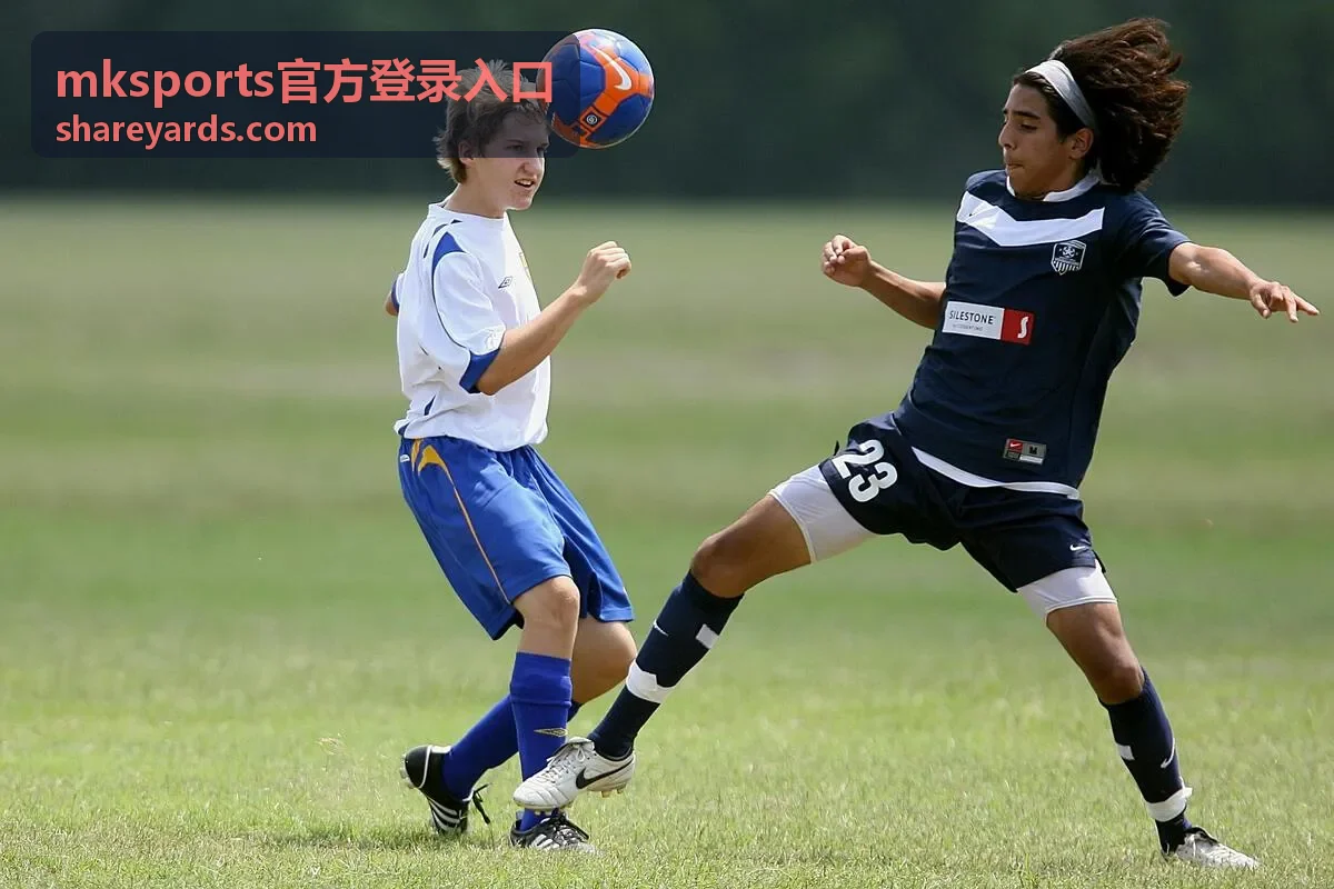 设备登录记录核对示意图，用于 mksports官方登录入口登录防护