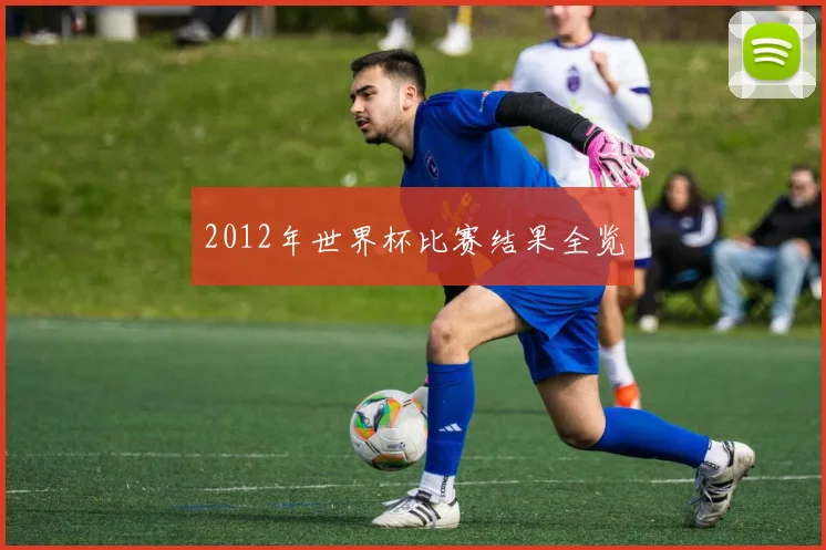 2012年世界杯比赛结果全览