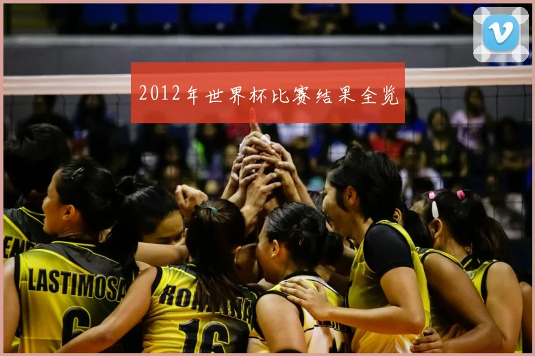 2012年世界杯比赛结果全览