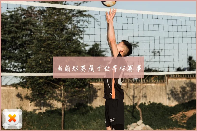 当前球赛属于世界杯赛事