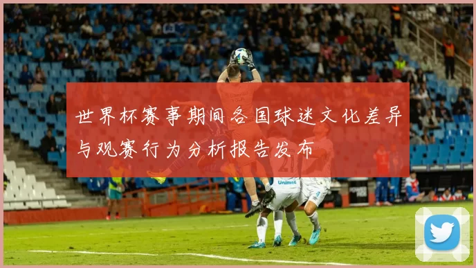 世界杯赛事期间各国球迷文化差异与观赛行为分析报告发布