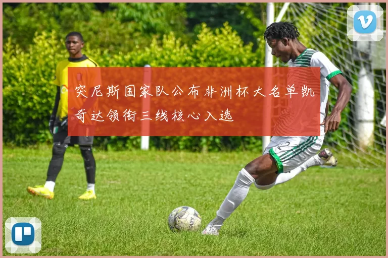 突尼斯国家队公布非洲杯大名单凯奇达领衔三线核心入选