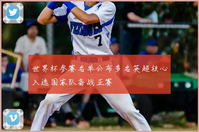 世界杯参赛名单公布多名英超核心入选国家队备战正赛