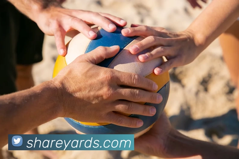 星空体育首页发展历程